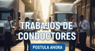 🛣️ TRABAJO DE CONDUCTOR | EL RETO DE LA MOVILIDAD Y EL TRANSPORTE MODERNO