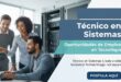 Técnico en Sistemas